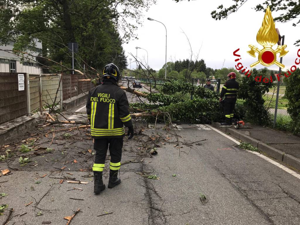 Copertina di: Emergenza clima, Barone (Federdistat Cisal): “Servono provvedimenti straordinari”